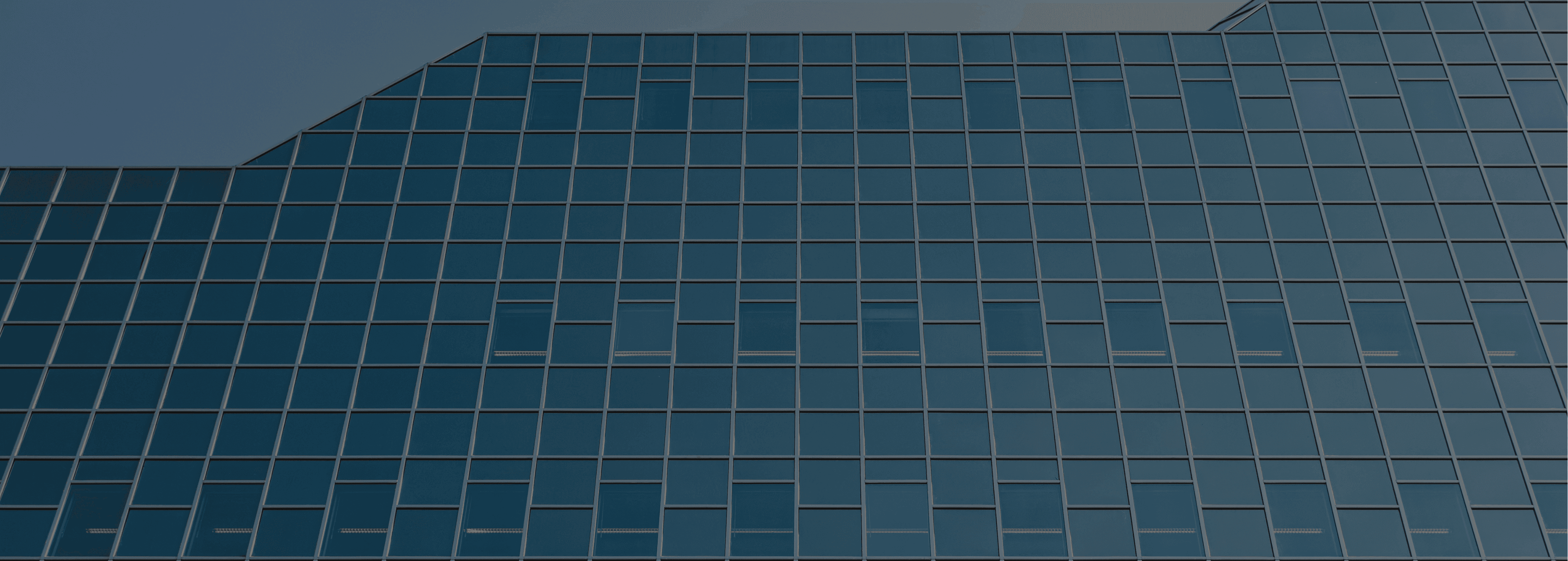 About D9 Technologies Hero